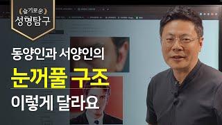 동양인과 서양인의 눈꺼풀 구조, 이렇게 다릅니다