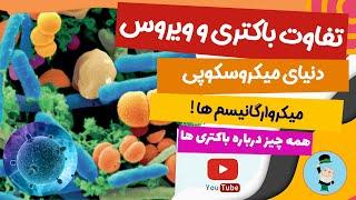 اندازه باکتری ها چقدر است؟ همه چیز درباره باکتری ها - دنیای میکروسکوپی و میکروارگانیسم ها