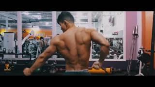 Heart of A Champion   Aesthetic Fitness & Bodybuilding Motivation