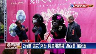 2荷蘭母猩猩來相伴 金剛猩猩迪亞哥脫單－民視新聞
