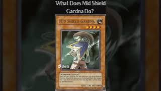 What Does Mid Shield Gardna Do?