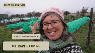 Off-Grid Living - Vegetable Garden and the Rain is Coming: Homesteading in Australia