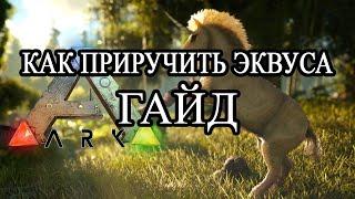 Как приручить Эквуса .  Ark: Survival Evolved. ГАЙД