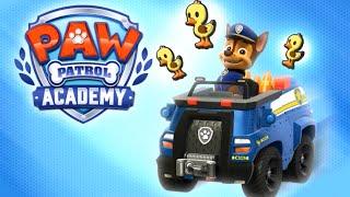 Paw Patrol Academy - Chase's Police Pup Challenge Game