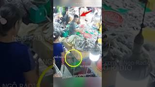 Kẻ cắp gặp bà già