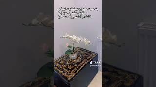 Beautiful afghan style mattress and carpet #homedecore #homedesign #afghan #turkish