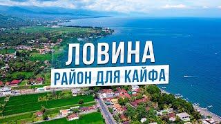 Районы Бали. Четкий обзор Ловины.