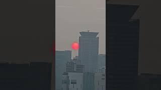 이처럼 붉은 태양을 또 언제볼까#shorts