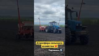 Сельское хозяйство  #работа #сельскоехозяйство #shortsvideo #short #тренды #жизнь