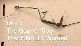 How To Set ONLY Gopher Trap That Worked For Me: DK-1  |  AnOregonCottage.com