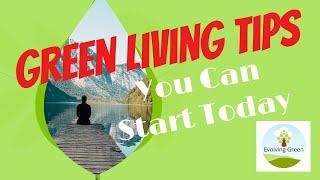 Green Living Tips You Can Start Today | What They Don't Tell You