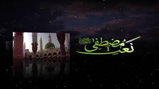 LAJPALIYAN NE VEKHO - MUHAMMAD DANISH FAROOQI - OFFICAIL HD VIDEO - SMILE MEDIA PRODUCTION