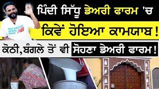 Pindi sidhu dairy farm 'ਚ ਕਿਵੇਂ ਹੋਇਆ ਕਾਮਯਾਬ ! ਕੋਠੀ,ਬੰਗਲੇ ਤੋਂ ਵੀ ਸੋਹਣਾ Dairy farming business | Milk