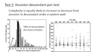 Evolutionary trends vs. random walks