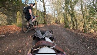 Sunny Sunday ride with big whippet