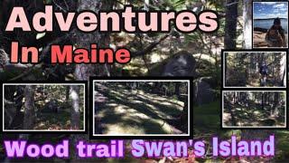 Richierich-Wood Adventures -Swan's Island Maine #jerseyshoreboy #woodtrail #swansisland #adventures