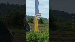 FASTIVAL LAYANGAN - LAYANGAN TERBESAR #manokwari #papua #harisantrinasional