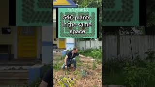 Maximize garden productivity with keyhole gardens #permaculture #easygarden #garden