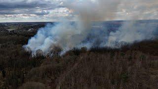 Zeer grote bosbrand in de Clingse Bossen - Omroep ZVL