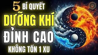 5 Thói Quen Dưỡng Khí CỰC MẠNH Không Tốn Tiền