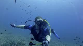 Diving at Enfola Bay / Elba, Italy