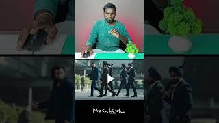 animal movie brothers best scenes VFX || Mr Sai Krishna