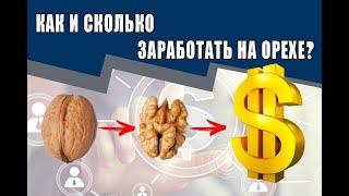 Бизнес на грецком орехе, как и сколько? Экономика бизнеса. Бизнес план