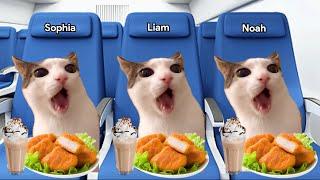 Cat memes travel to Lombok