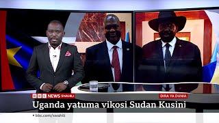 Uganda yatuma wanajeshi Sudan Kusini, katika Dira ya Dunia TV