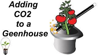 Magic Greenhouse Grow Gas - Co2 growing - Carbon Dioxide greenhouse addition