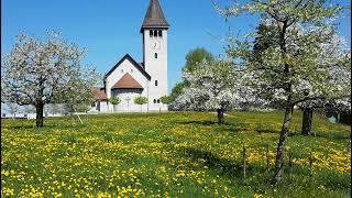 Livestream von Katholische Pfarrei Wetzikon