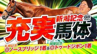 【新潟記念 2024】一昨年は9番人気2着を指名！サマー2000シリーズ最終戦は『持続力』『スタミナ』が必要！馬体診断・フォトパドック【競馬予想】