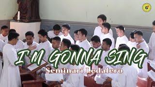 LAGU   Post Komuni ||  I'M GONNA SING || by Fraters Seminari Ledalero