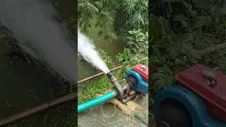 CD china z-170 engine #short #shorts
