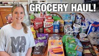 LARGE FAMILY GROCERY HAUL! | WALMART FINDS