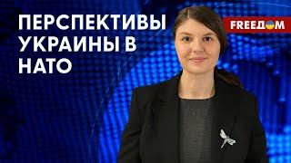 ️️ Байден посетит саммит НАТО. Чего ждать Украине от встречи? Анализ политтехнолога