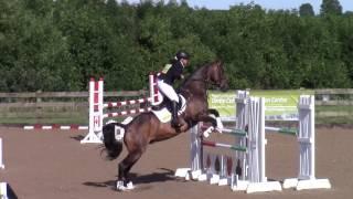 Bally Finnegan : BE Novice : Showjumping : Eland lodge : 2 July 2017