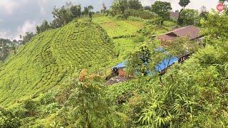 Wonderfully Beautiful Mountain Sight- Heart Warming Nature