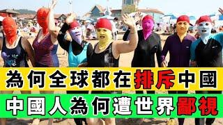 為何越來越多的國家開始排斥中國？因為中國人“太聰明了”！｜Reaction Video