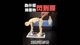 為什麼搬重物閃到腰 要用蹲下起立大腿肌提重物