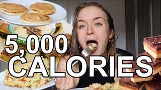 5,000 Calorie Challenge | WHAT I EAT IN A DAY (Vegan Weight Gain)