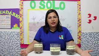 3º ANO - CIÊNCIAS - TIPOS DE SOLO