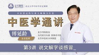 第3讲_说文解字谈感冒_金方书院傅延龄教授主讲《中医学通讲》#中医学通讲 #傅延龄 #感冒