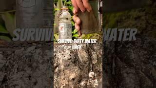 How to Filter Dirty Water with a Bottle and Stick: Simple Survival Hack! #diy #survival