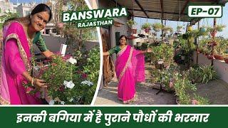 बांसवाड़ा के इस गार्डन में है पुराने पौधों की भरमार 🪴 Terrace Garden Tour of Banswara 🪴 EP-07