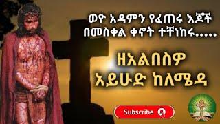 ዘአልበስዎ አይሁድ ከለሜዳ መክሊት ዘተዋሕዶ/Meklit the Tewahido