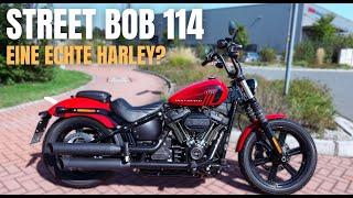 Harley Davidson Street Bob 114 (2024) | Wie gut ist die "billige" Harley?!