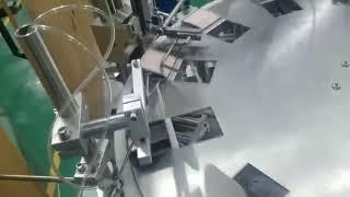 Automatic vertical cartoning machine for bottles