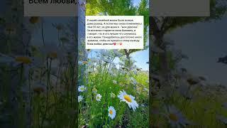 вместе и навсегда #жизненныеистории #короткиеистории #реальныеистории