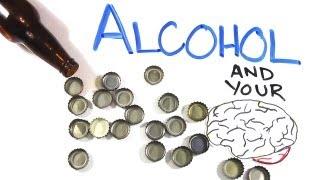 Your Brain on Drugs: Alcohol